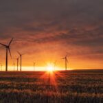 RSB Issues RED III Compliance Guidance for Biofuel Certification Operators
