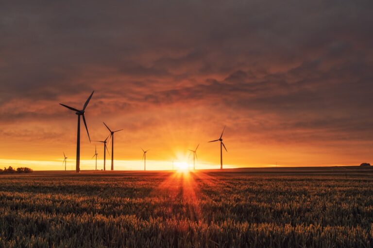 RED III Compliance Framework Takes Effect for EU Biofuels and SAF Operators